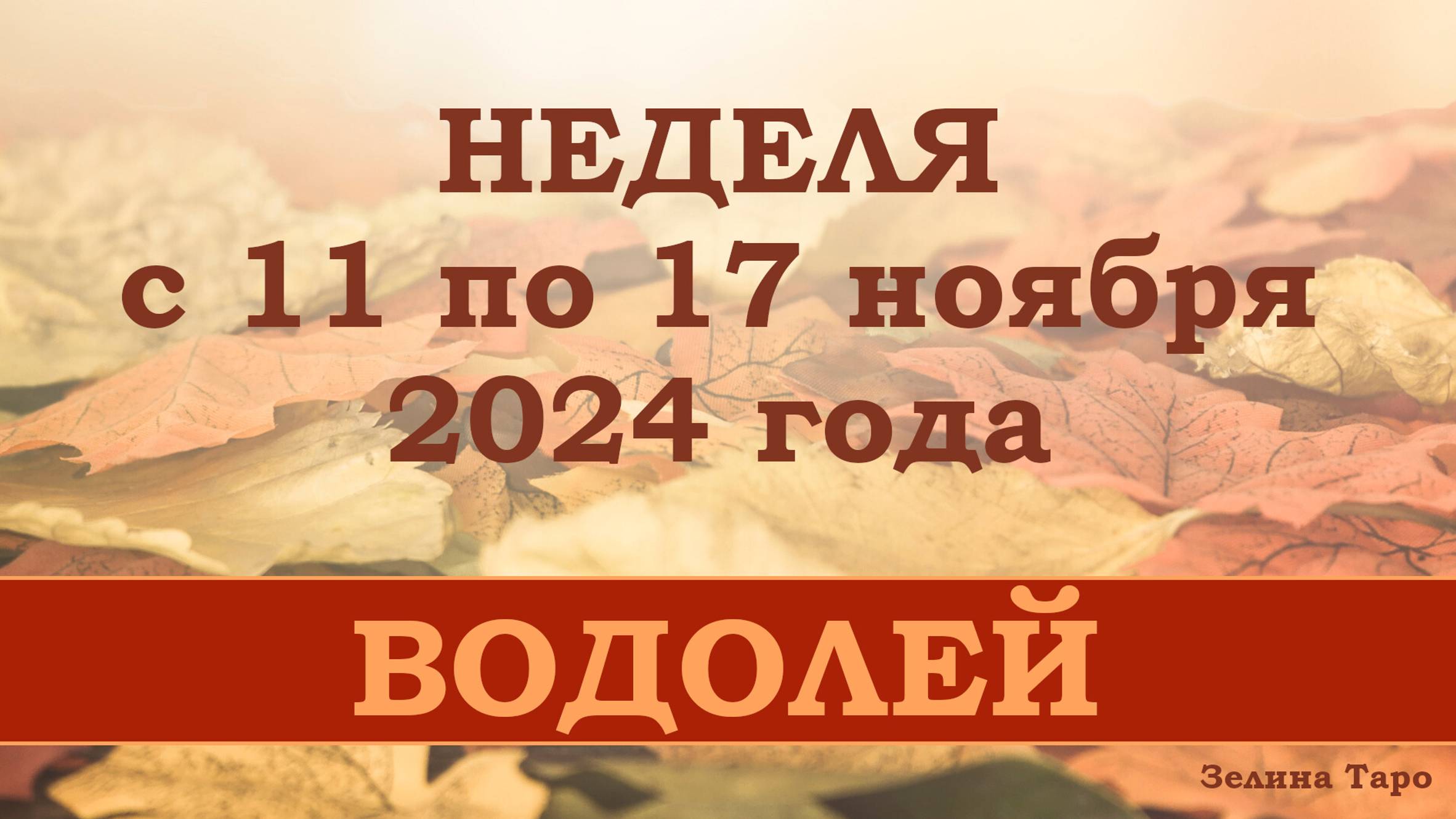 ВОДОЛЕЙ | Таро прогноз на неделю с 11 по 17 ноября 2024 года