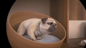 The Wrong Mike | Mighty Mike | 45' Compilation | Cartoon for Kids