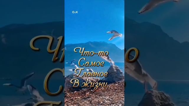 #Берегите друг друга,люди смотреть онлайн