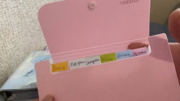 Система конвертов / какие ошибки я допустила? / сколько распределений в месяце будет / болтаем