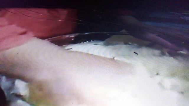 Монастырская кухня. Луковый хлеб. смотреть онлайн