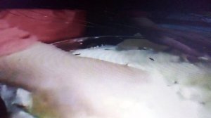 Монастырская кухня. Луковый хлеб.