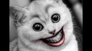 СТРАШНЫЕ SCP МОНСТРЫ СНЯТЫЕ НА КАМЕРУ [Черный кот]