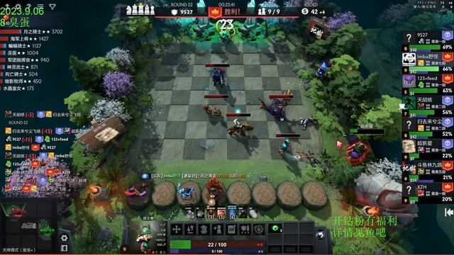 Dota Auto Chess Troll+Warlock смотреть онлайн