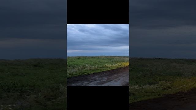Комариные семьи смотреть онлайн