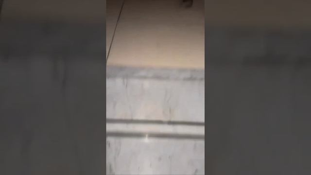 Просыпаешься ночью, а там...😱 смотреть онлайн