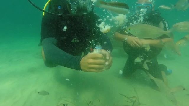 Scuba Diving in Kusadasi | Monday Montage смотреть онлайн
