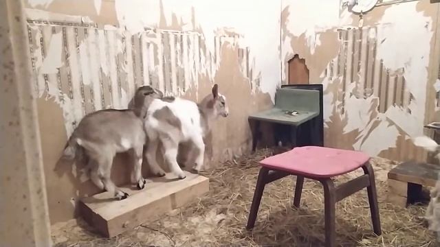 ждём лета, а пока так. смотреть онлайн