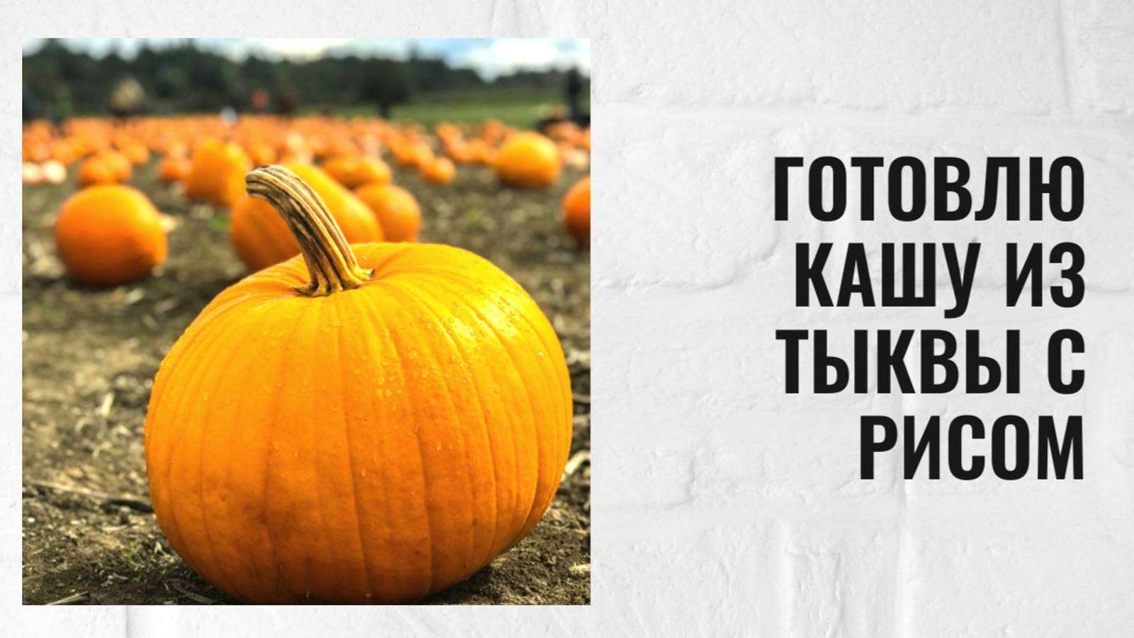 Готовлю кашу из тыквы с рисом