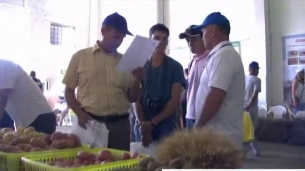 Картофельный фестиваль Солана - 2013