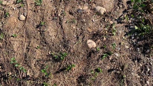 Walking with Nike Air Force 1 on different ground types смотреть онлайн