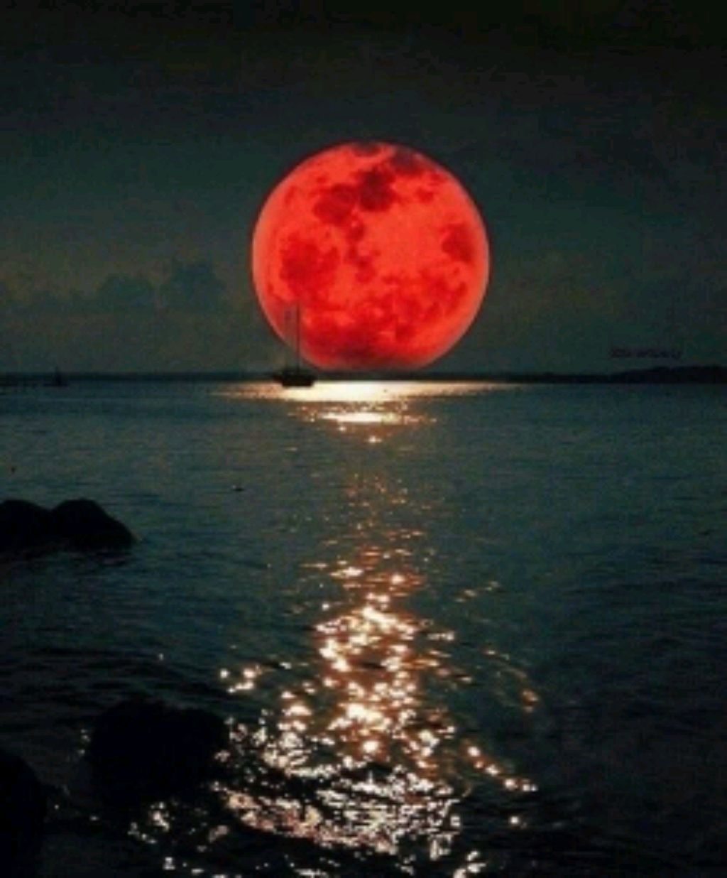 Алиса и домики 🚆🚆