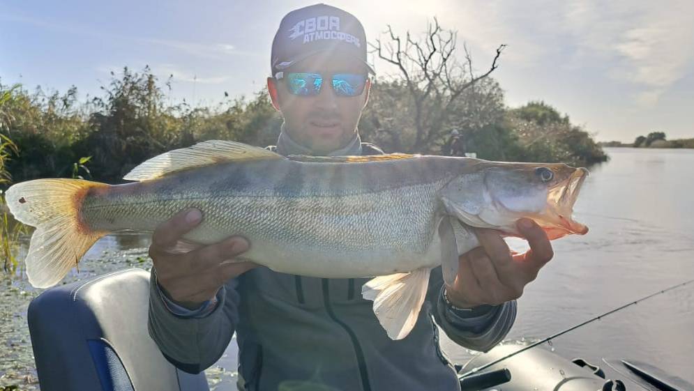 Я ТАК ЕЩЁ НЕ ЛОВИЛ СУДАКА! СУДАК НА СТРУЕ РЫБАЛКА В АСТРАХАНИ. смотреть онлайн