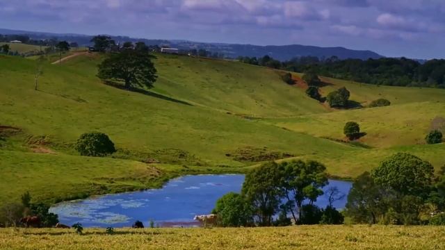 Я был в шоке, когда жена собрала вещи и заявила, что уходит к другому. Спустя время решила вернутьс смотреть онлайн