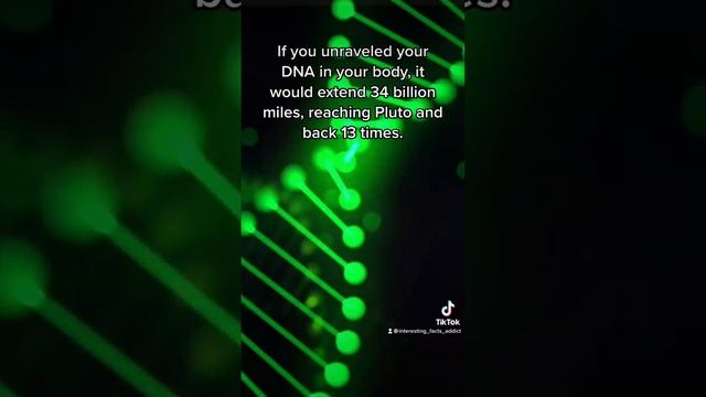 How long is DNA?! #dna #humanbody #facts смотреть онлайн