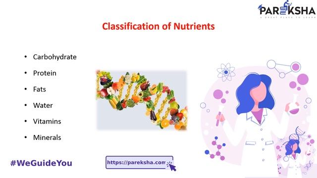 Bond between Nutrition and Digestive System | Biology смотреть онлайн