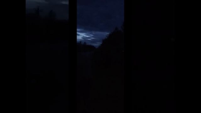Отпугиватель от животных смотреть онлайн