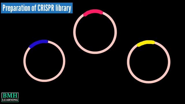 Genome-Wide Screens Using CRISPR | CRISPR Cas 9 Genome Wide Screening | CRISPR screening | смотреть онлайн