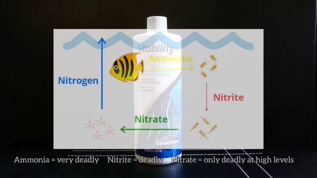 Seachem Stability Review