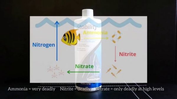 Seachem Stability Review