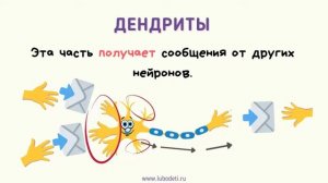 Уроки для детей о мозге. Нейроны. Brain Lesson 2