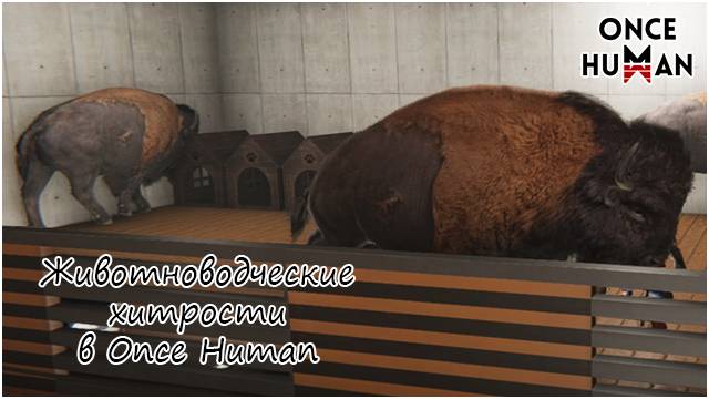 Животноводческая мистика в Once Human смотреть онлайн