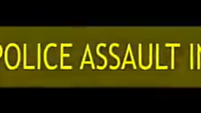 Police Assault смотреть онлайн