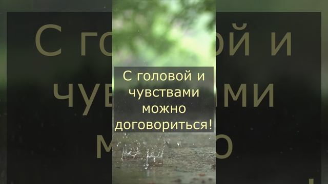Ушедшая любовь! Душа в дребезги... смотреть онлайн