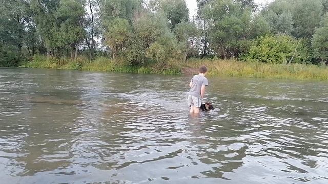 VID_20230827_195322.mp4 смотреть онлайн