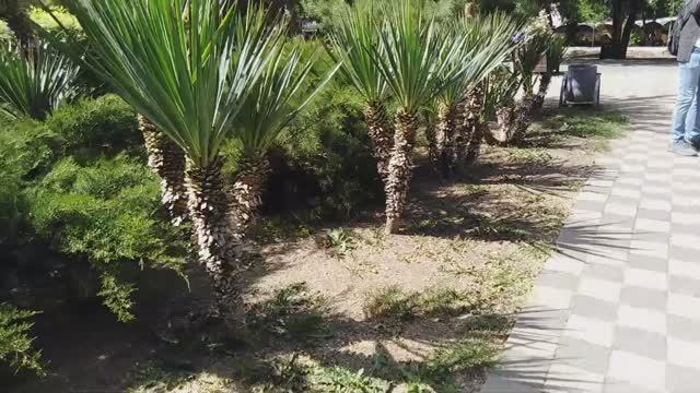 НАШЛИ КРУТОЕ МЕСТО В АНАПЕ. АНАПА - В МОЁМ СЕРДЦЕ. ОТДЫХ. МАЙ 2024. смотреть онлайн