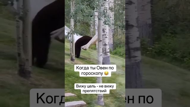 1003100462.mp4 смотреть онлайн