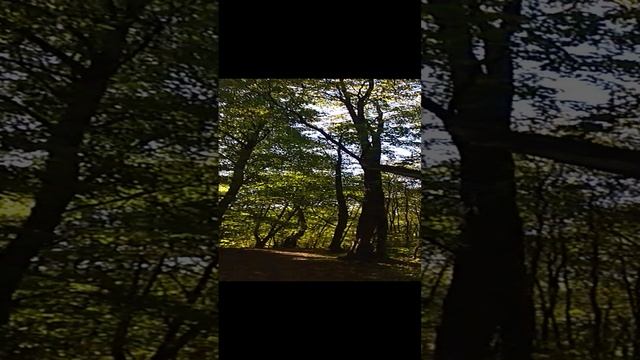 VID_20200915_154715 смотреть онлайн