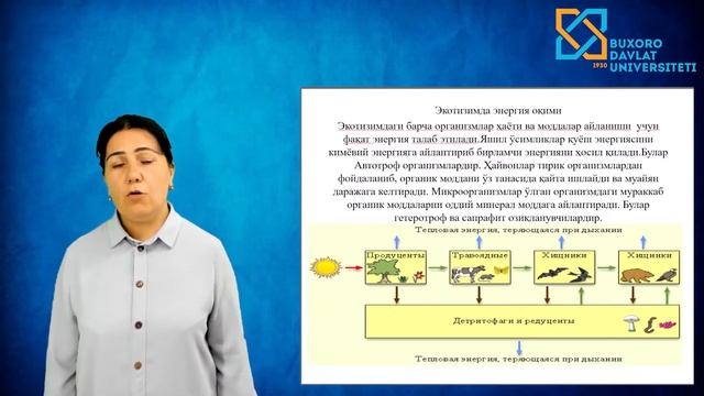 Bobomurodova Nargiza Jo`rayevna. Ekosistemalar ekologiyasi смотреть онлайн