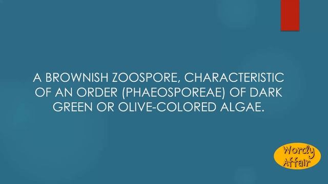 Phaeospore Meaning смотреть онлайн