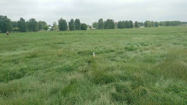 Геометрические чудеса