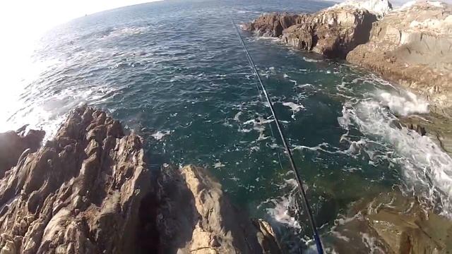RockFish Revolution Issue 2 смотреть онлайн