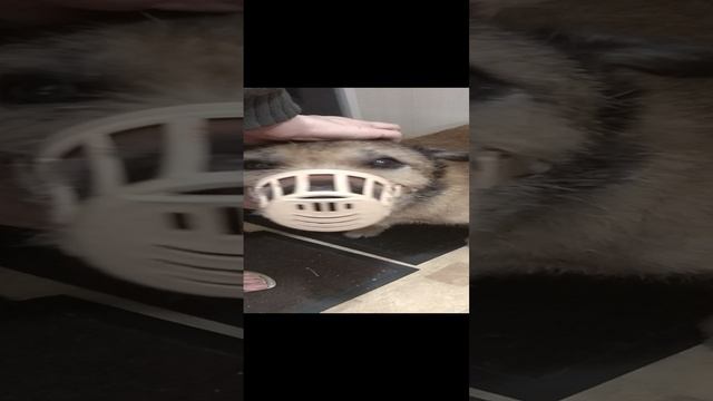 VID_20210808_212102 смотреть онлайн