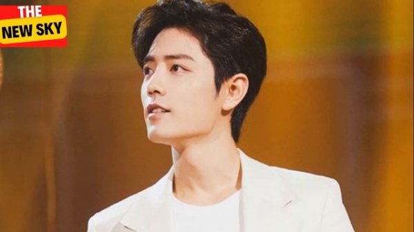 Xiao Zhan: A rising star and a powerful figure in the domestic entertainment industry.