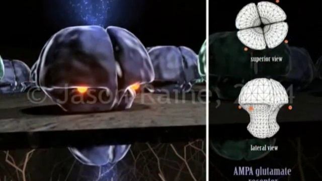 3a AMPA receptors смотреть онлайн