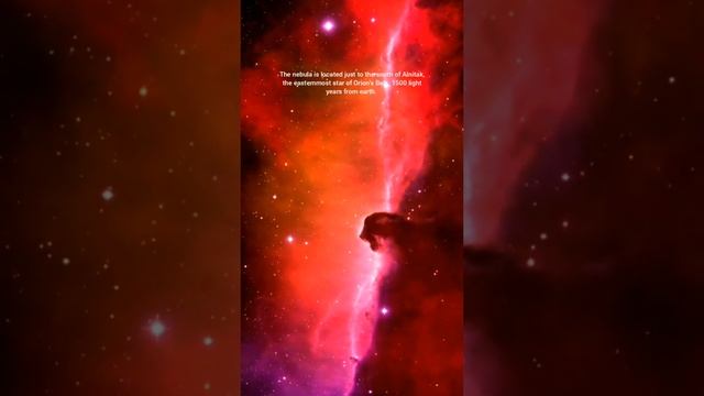 The Horsehead Nebula | Barnard 33 | Nebula | Space | Universe смотреть онлайн