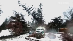 Best Fails of the Week - Stupid and Crazy 😫 - FailArmy