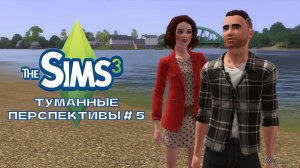 The Sims 3. Туманные перспективы #5.Трудовые будни
