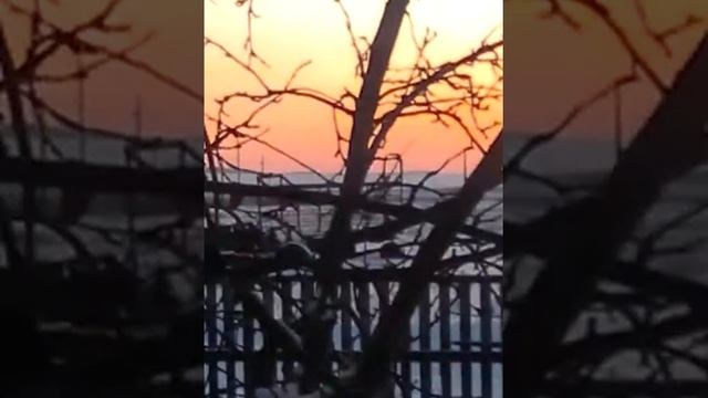 полный закат солнца. смотреть онлайн