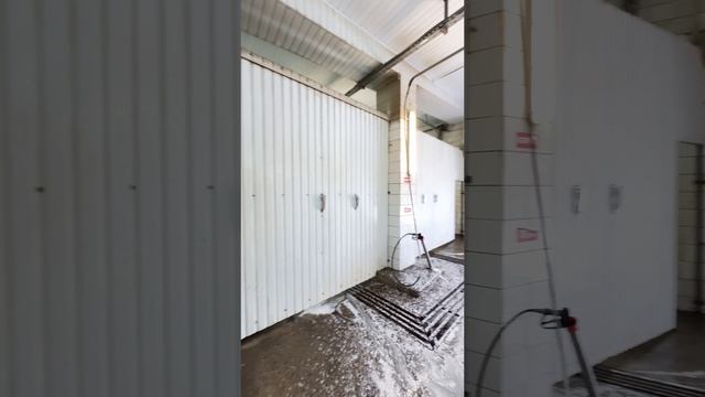 11-11-2024 смотреть онлайн