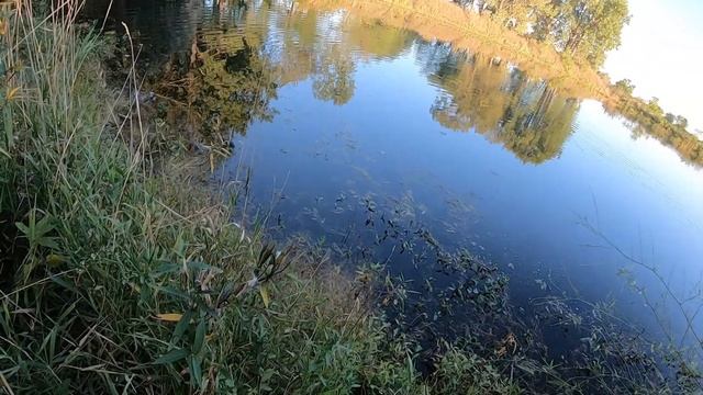 Fishing with the BERKLEY CHOPPO | Explosive Results смотреть онлайн