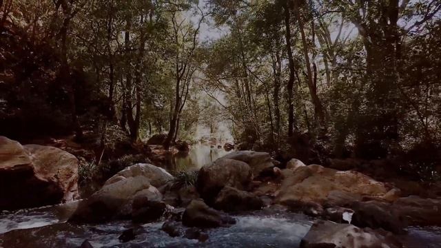 3 True Scary Stories From Reddit | Ambient Rain Sound | Horror Compilation смотреть онлайн