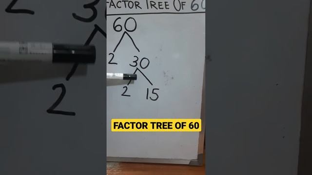 Factor tree of 60 #factorization #factortree смотреть онлайн