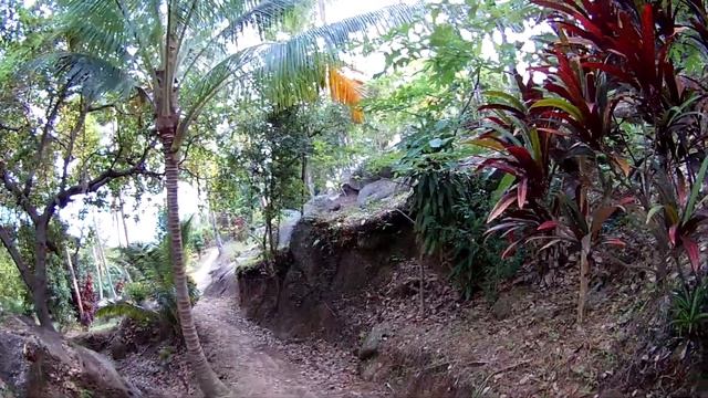 оливер стоун смотреть онлайн