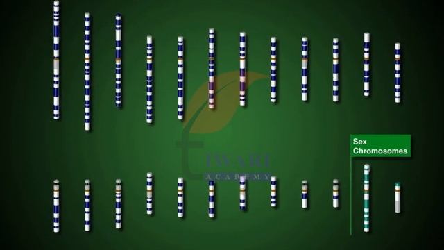 Class 12 Biology Chapter 6 Molecular Basis Of Inheritance - Human Genome Project