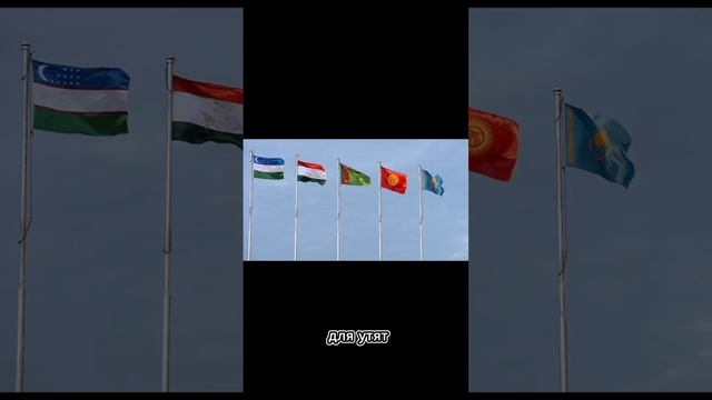 мы делили апельсин смотреть онлайн